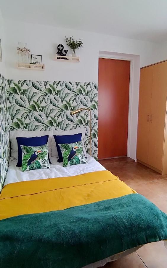 Apartamenty Amarel ステグナ エクステリア 写真